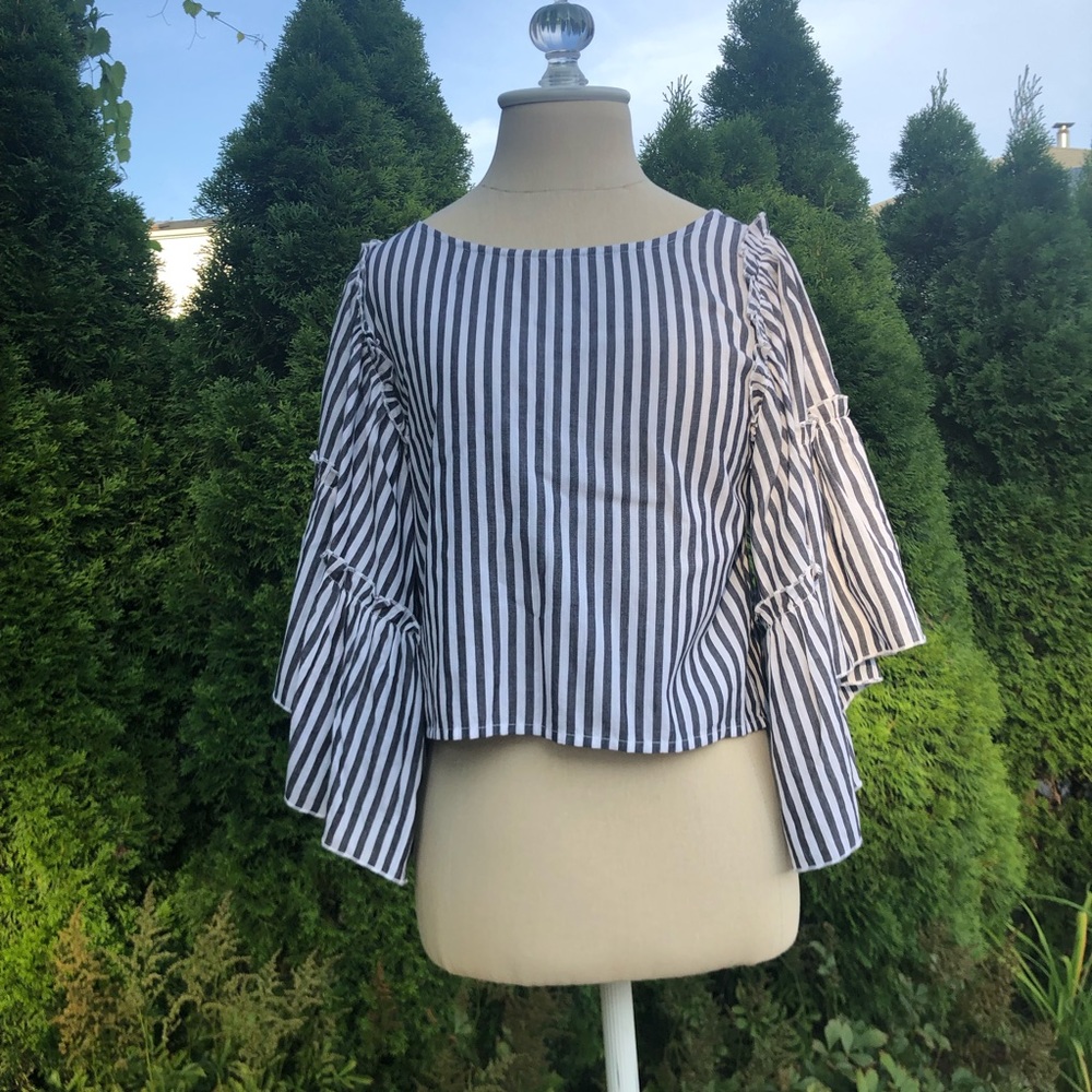 Ruffled Sleeve Top